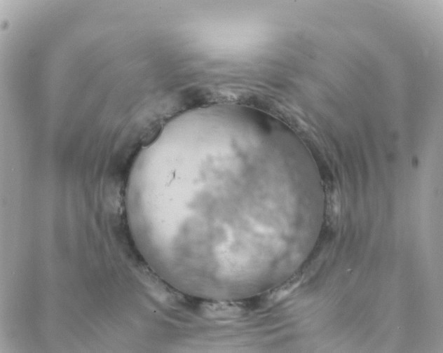 X0000089370331200707061120