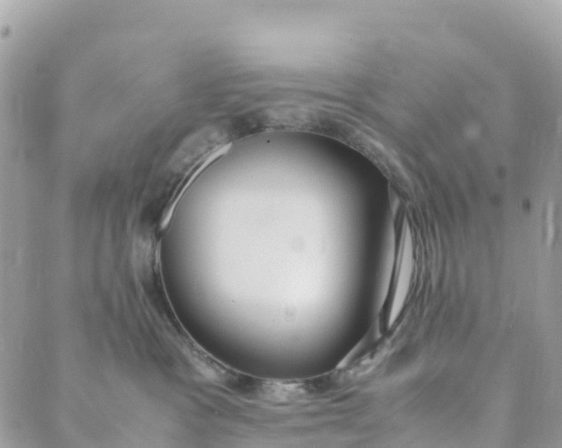 X0000089370333200707061120