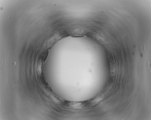 X0000089370334200707061120