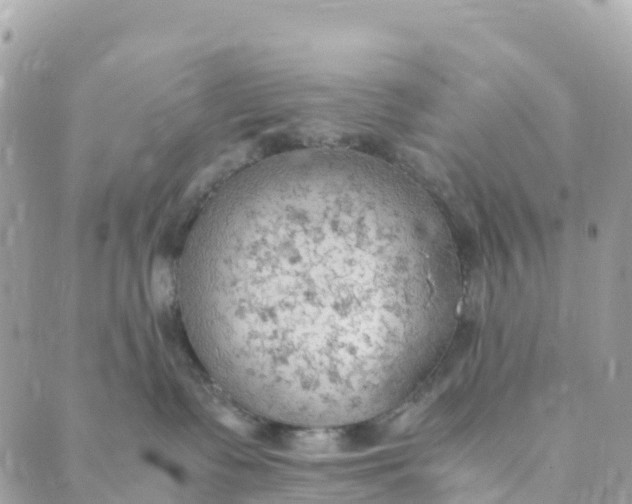 X0000089370335200707061120