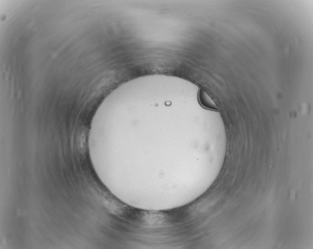 X0000089370336200707061120