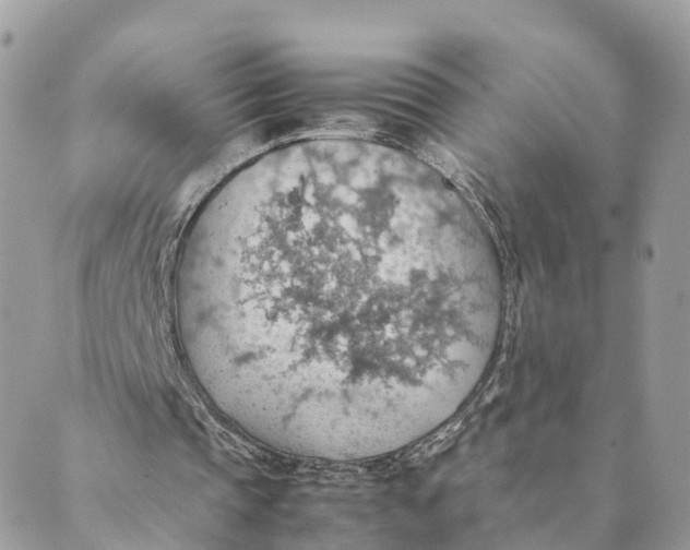 X0000089370337200707061119