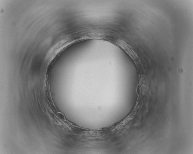 X0000089370338200707061119