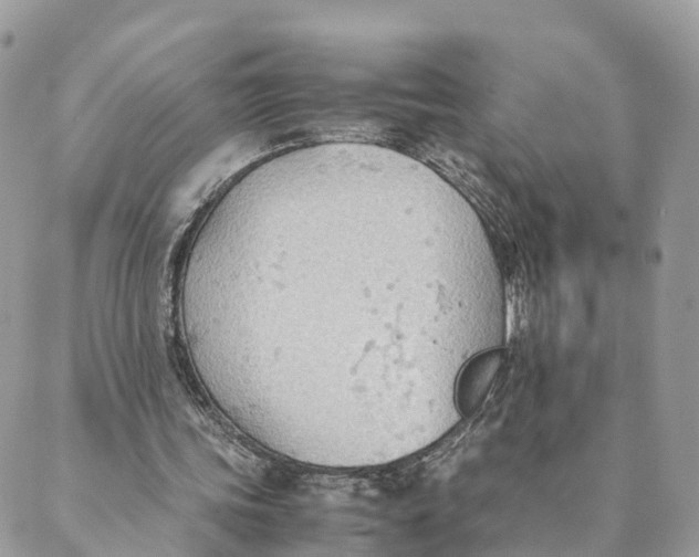 X0000089370339200707061119