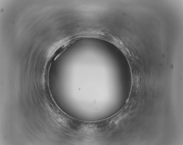 X0000089370340200707061119