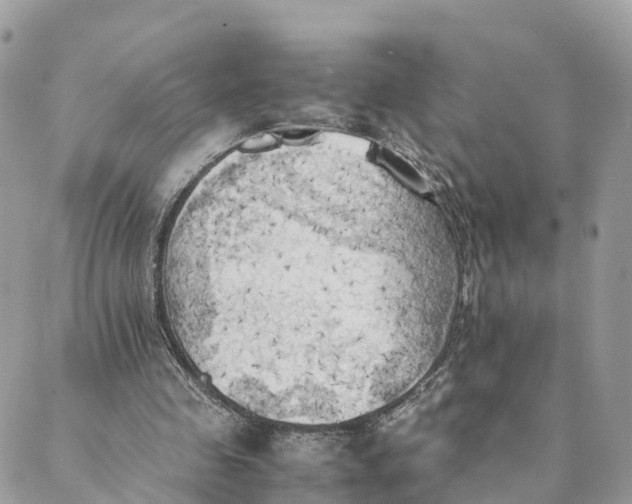 X0000089370341200707061119