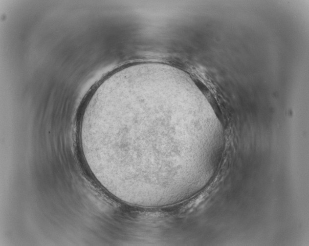 X0000089370342200707061119