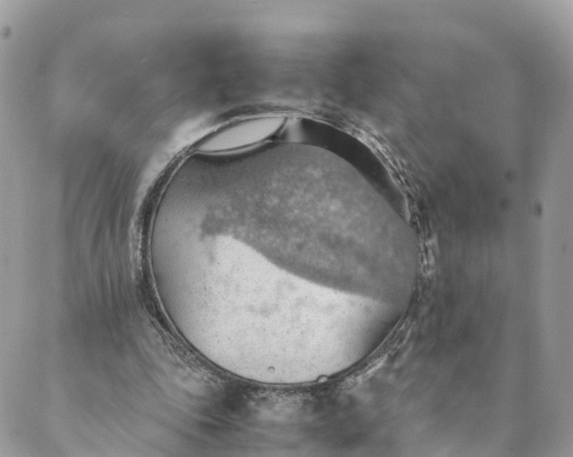 X0000089370343200707061119