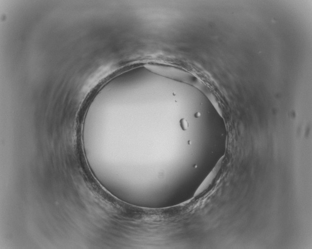 X0000089370344200707061119