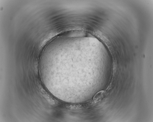 X0000089370345200707061120