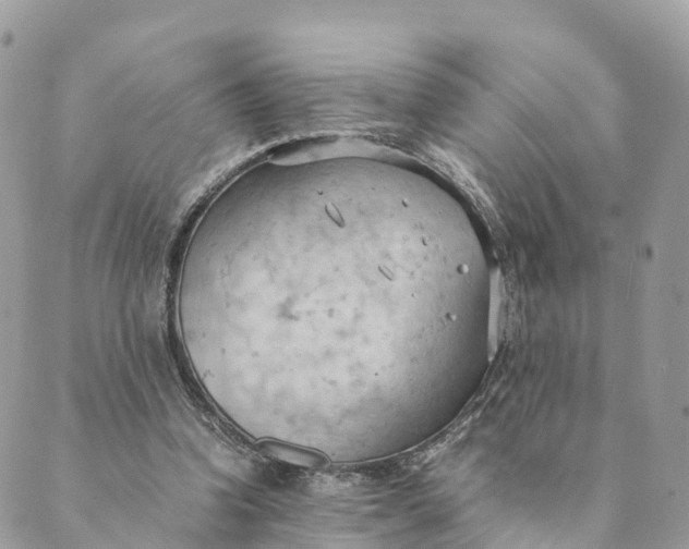 X0000089370346200707061120