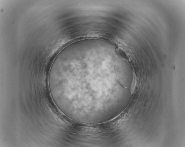 X0000089370347200707061120