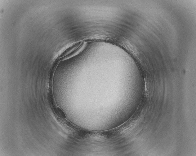 X0000089370348200707061120