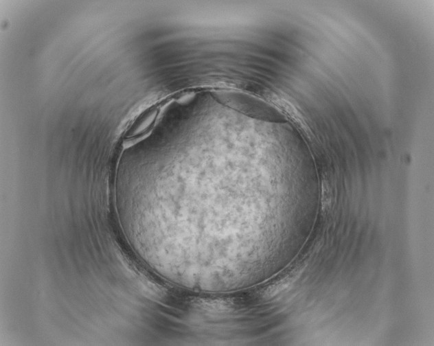 X0000089370349200707061120