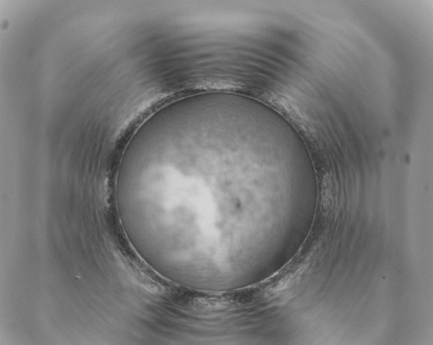 X0000089370351200707061120