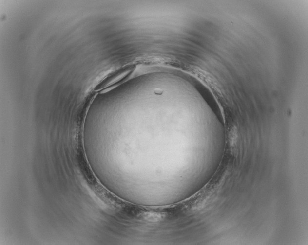 X0000089370352200707061120