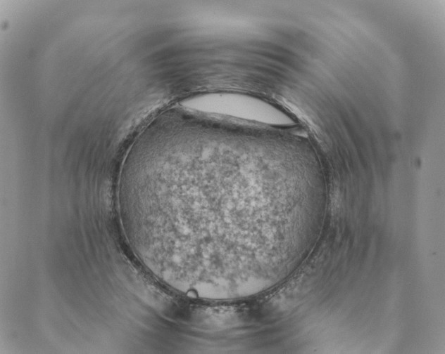 X0000089370353200707061120