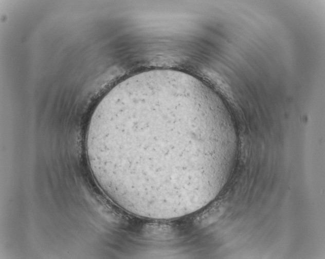 X0000089370354200707061120