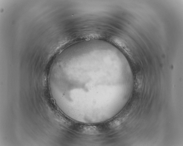 X0000089370355200707061120