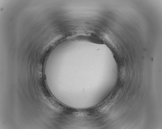 X0000089370356200707061120