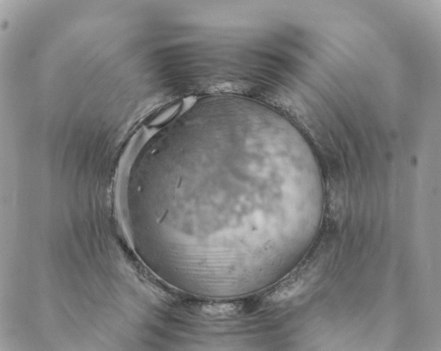 X0000089370357200707061120