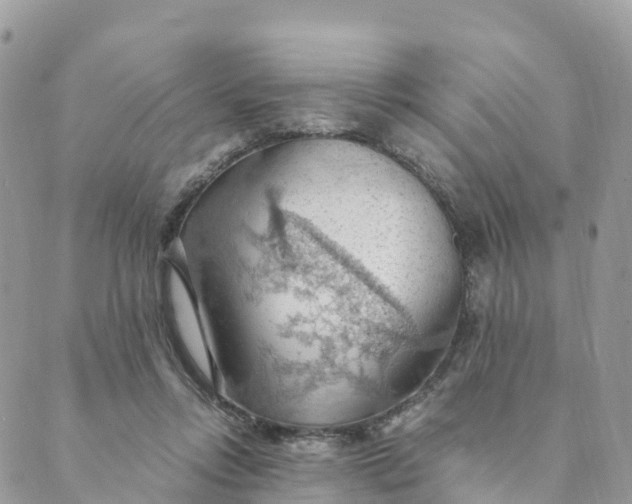 X0000089370358200707061120