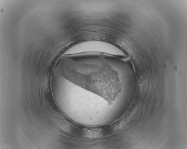 X0000089370359200707061120