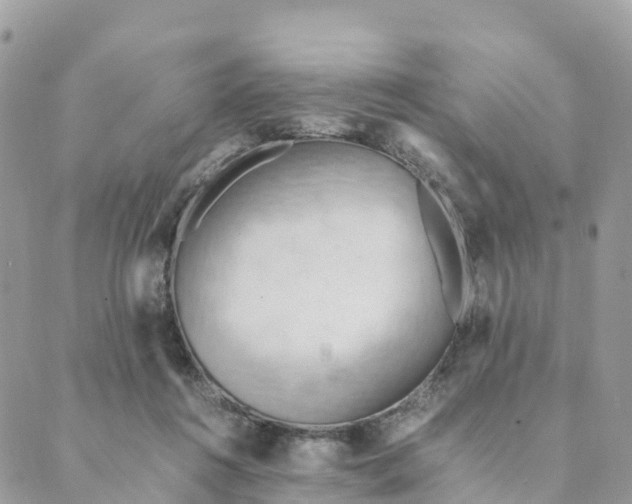 X0000089370360200707061120