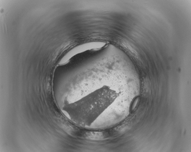 X0000089370361200707061120