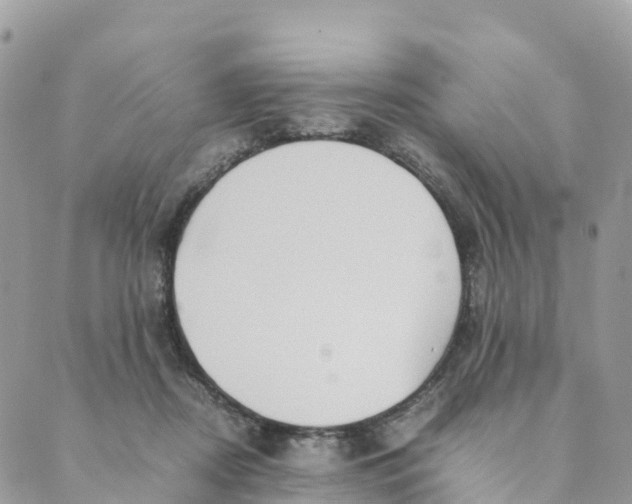 X0000089370362200707061120