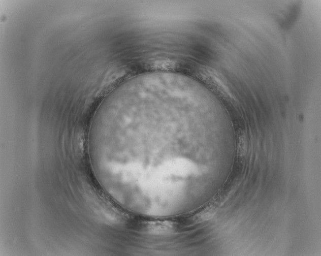 X0000089370363200707061120