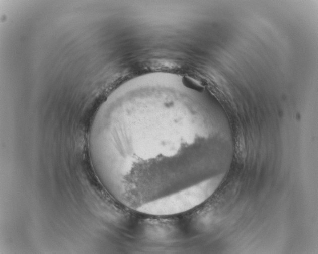 X0000089370367200707061120