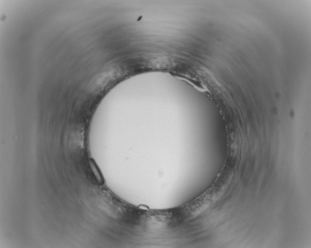 X0000089370368200707061120