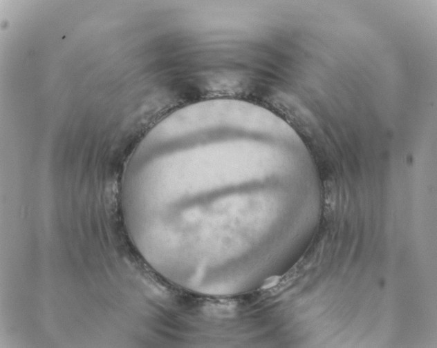 X0000089370369200707061120