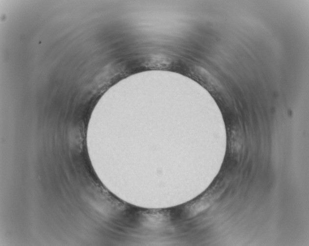 X0000089370370200707061120