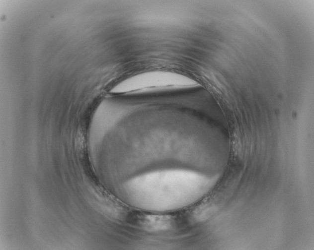 X0000089370371200707061120