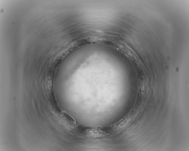 X0000089370372200707061120