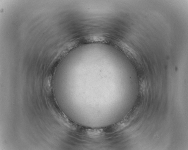 X0000089370373200707061120