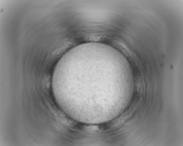 X0000089370374200707061120