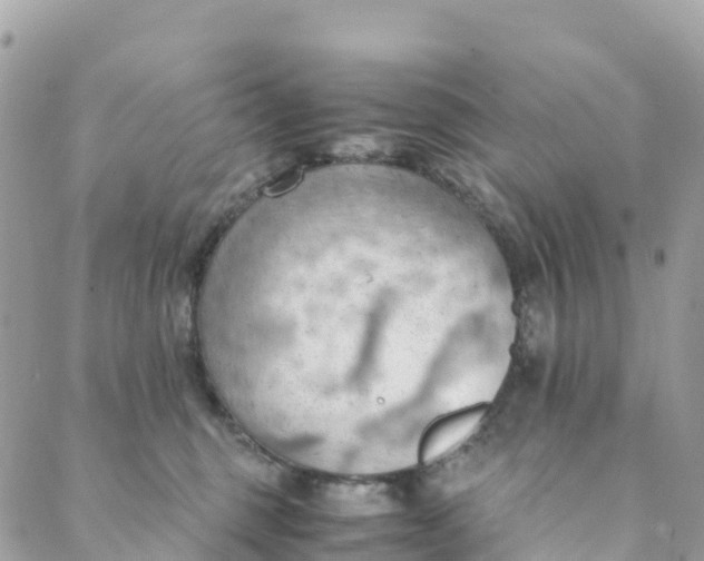 X0000089370375200707061120