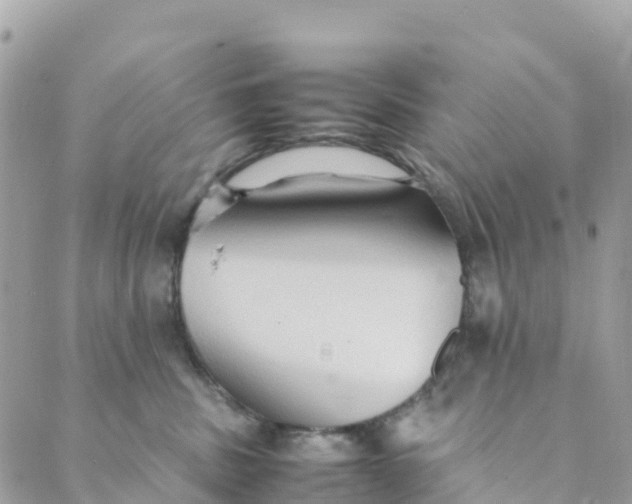 X0000089370379200707061120