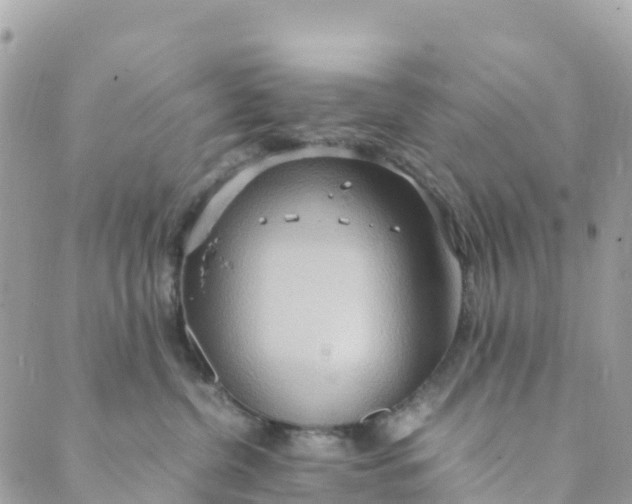 X0000089370380200707061120