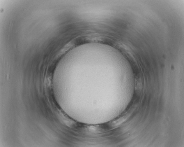 X0000089370382200707061120