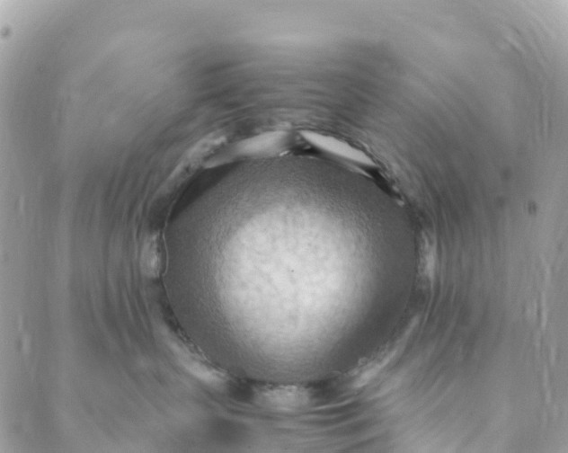 X0000089370383200707061120