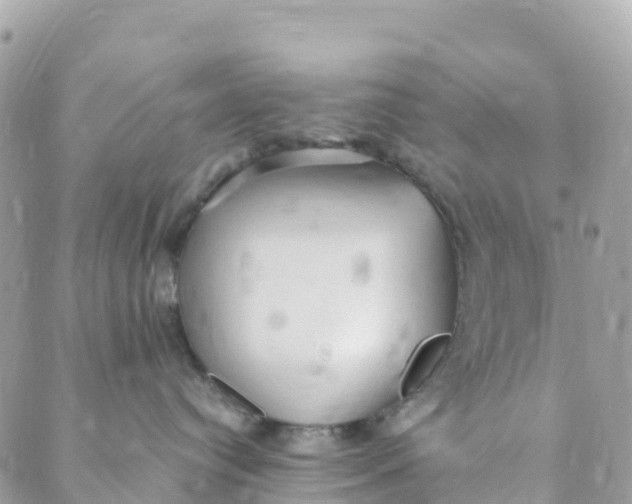 X0000089370384200707061120