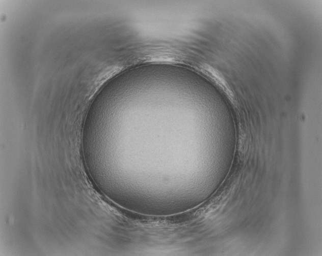 X0000089370385200707061119