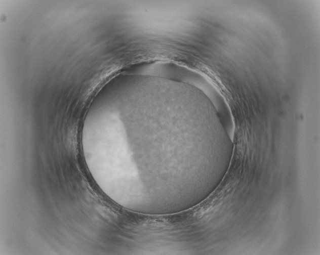 X0000089370386200707061119