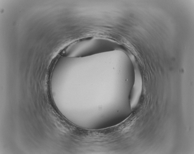 X0000089370387200707061119