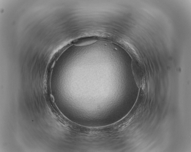 X0000089370388200707061119