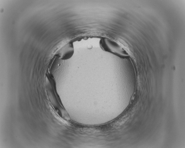 X0000089370389200707061119